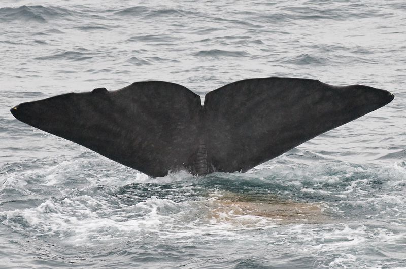 61 Valas Pyrsto 8.jpg - Glenn sukelsi suhteellisen jyrkassa kulmassa